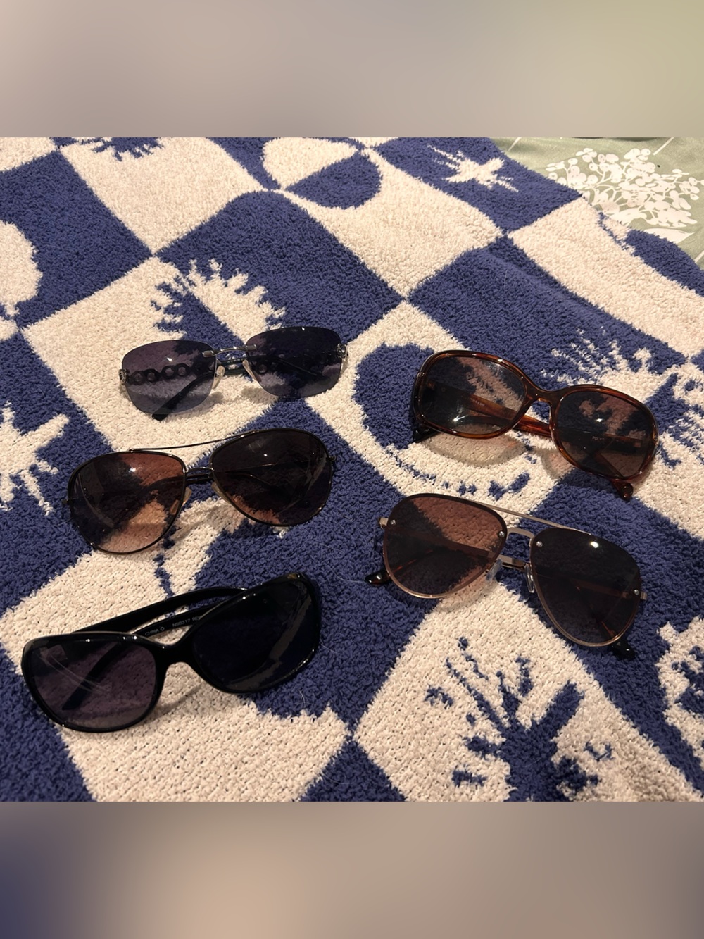 Women's Brown and Black Fashion Sunglasses - Versatile Everyday Shades